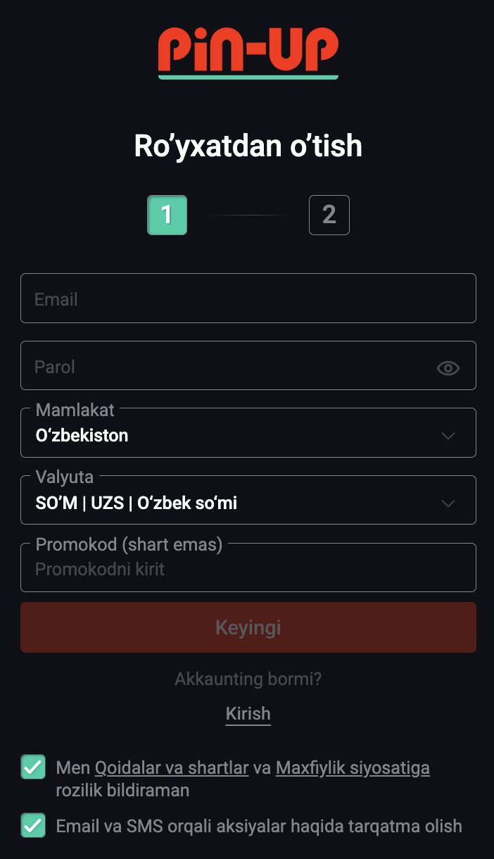 Pin-Up Uz сайтида электрон почта орқали рўйхатдан ўтиш формаси